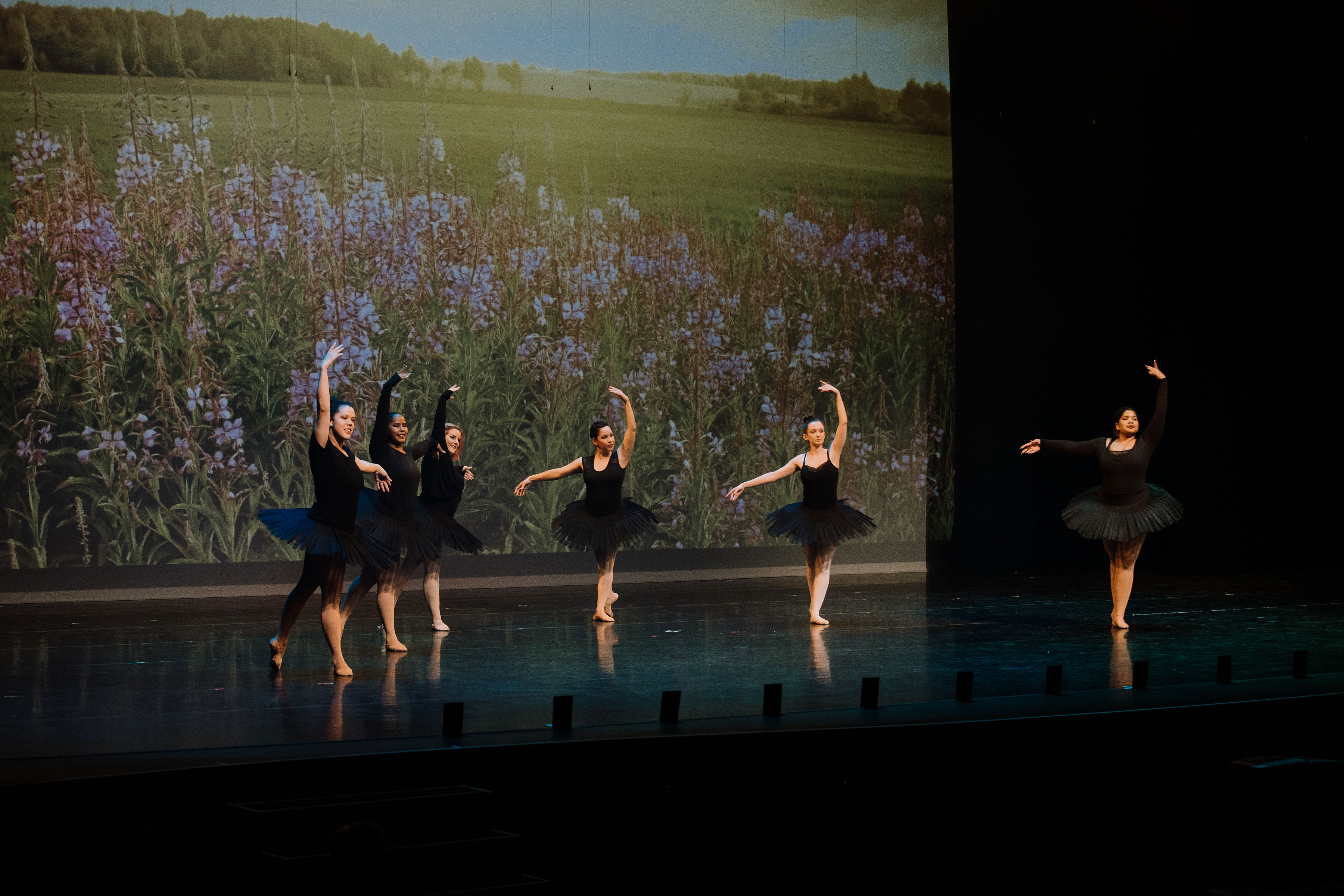 Advanced ballet performing on stage in black tutus