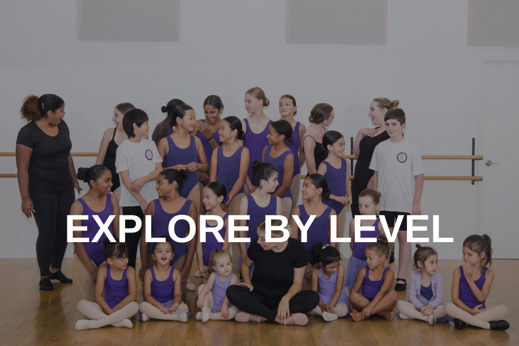 Group shot of dancers of varying ages with Explore by Level written over top