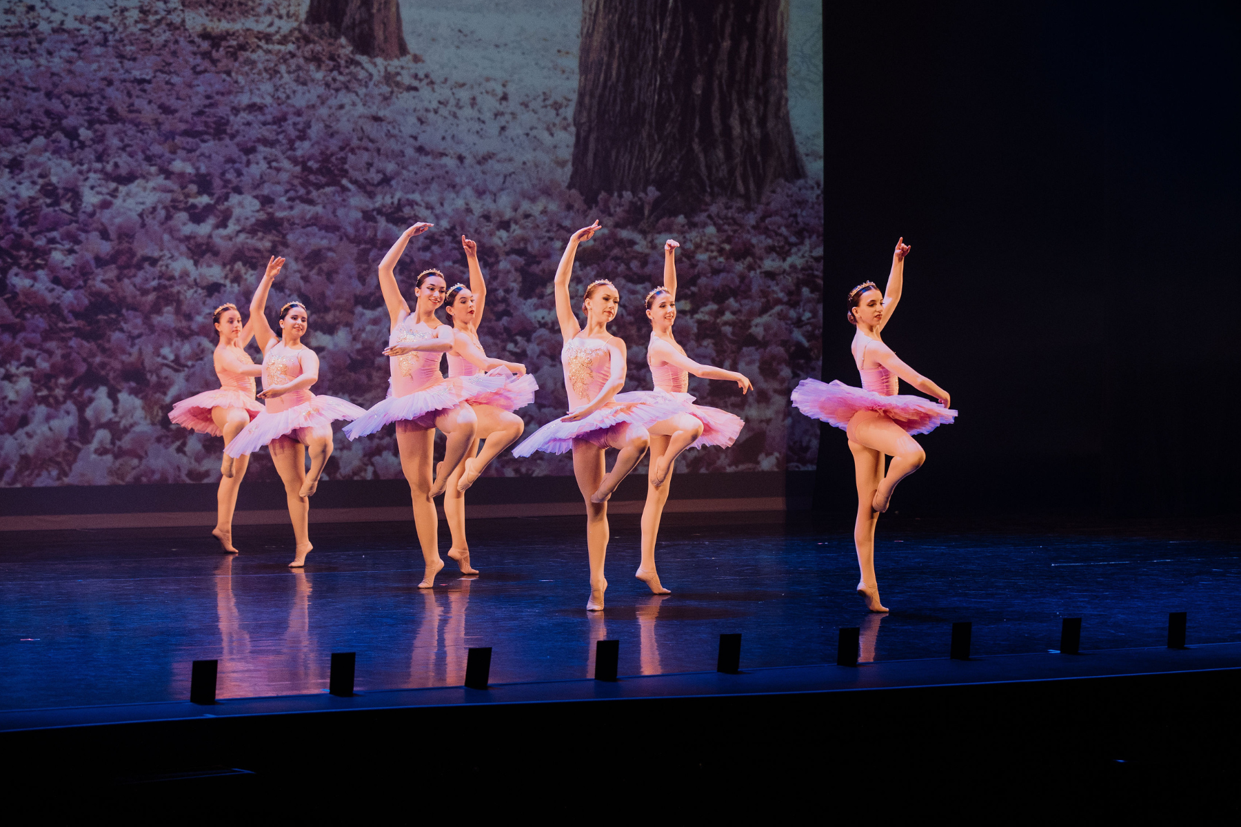 Six dancers performing a ballet routine